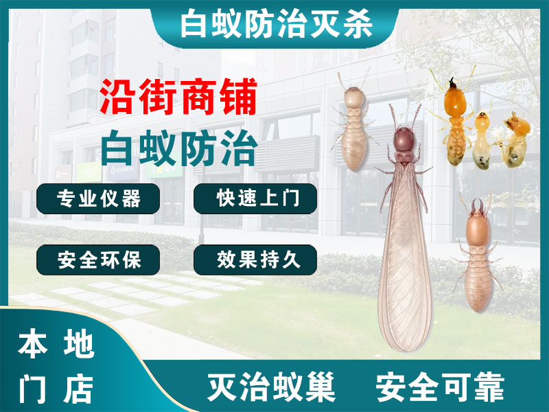 长兴沿街商铺白蚁防治