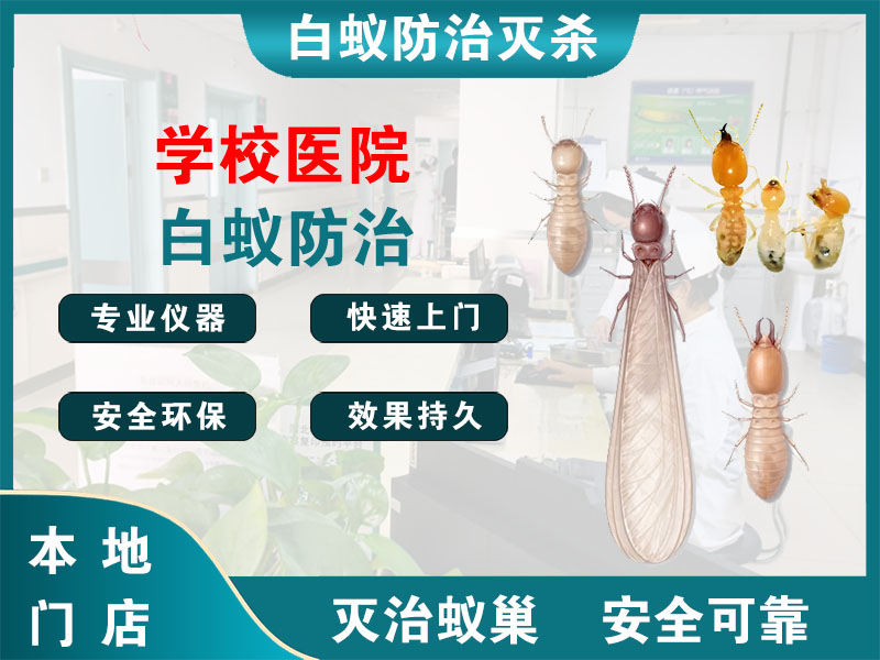 长兴学校医院白蚁防治