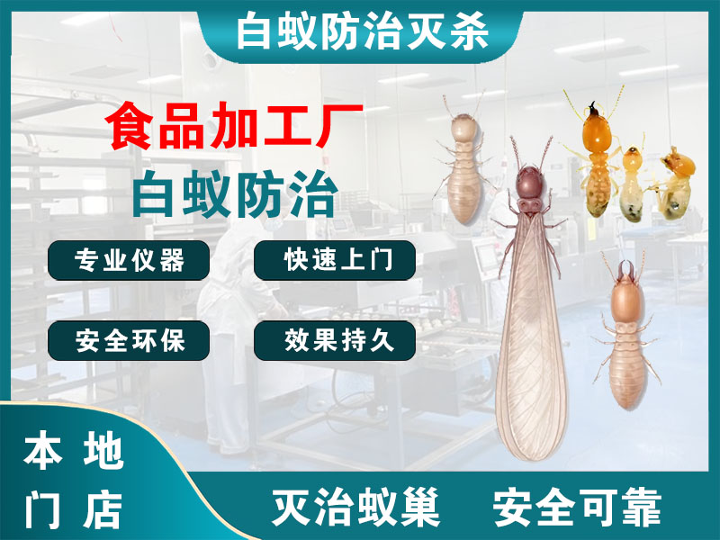 长兴食品加工厂白蚁防治