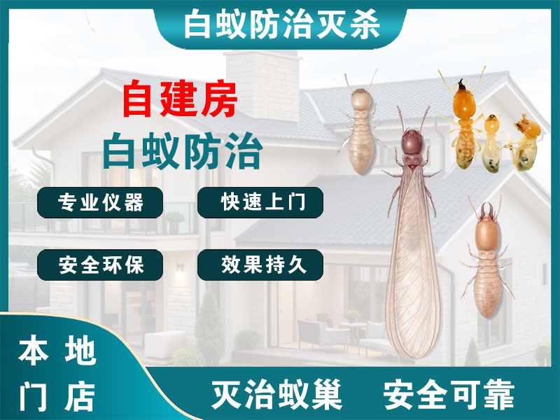 长兴自建房白蚁防治