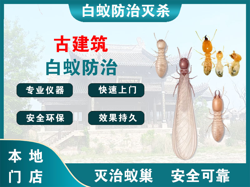 长兴古建筑白蚁防治