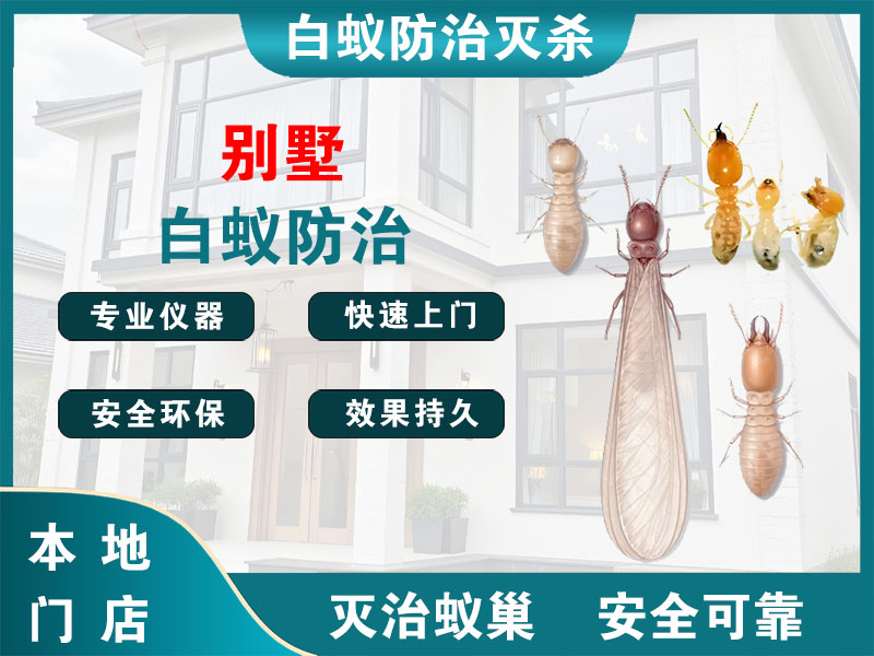 长兴别墅白蚁防治
