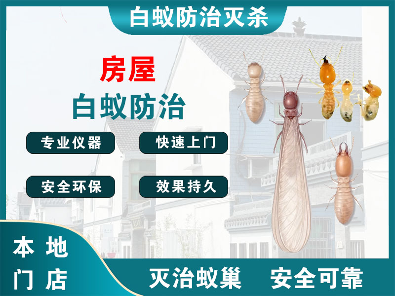 长兴房屋白蚁防治